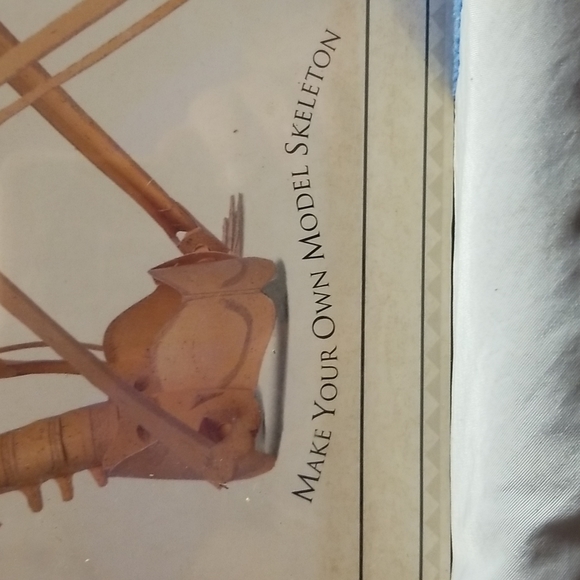 Action Pack Make Your Own Skeleton and More - Picture 3 of 7